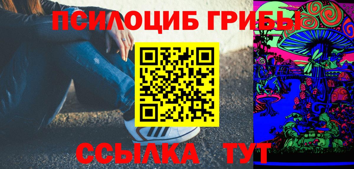 Чебаркуль  купить наркотики цена  Вход с VPN  Галлюциногенные грибы Magic Shrooms  Галлюциногенные грибы GOLDEN TEACHER 